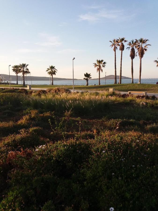 Apartment Nador Rif Exterior photo